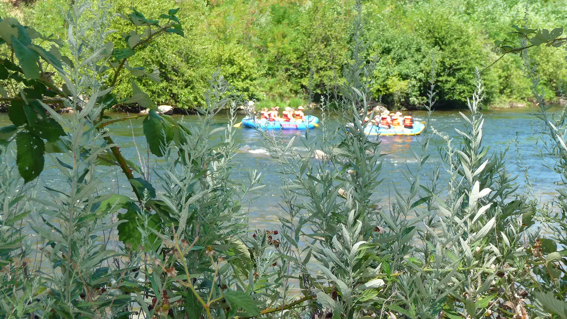 Rafters on the American River.